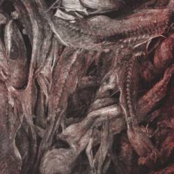 Demoraliser : The Departed - Demoraliser